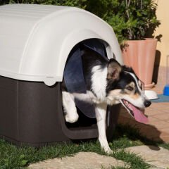 Ferplast Kenny 5 Plastik Köpek Kulübesi Large 70x100.6x70.5 Cm