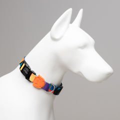 Lindo Dogs Ibiza Köpek Boyun Tasması Renkli Large