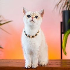 Pnx Pet Yeşim Doğaltaş Kedi ve Köpek Künyesi