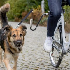 Trixie Köpek U Şeklinde Bisiklet Yürütme Aparatı Medium/Xlarge