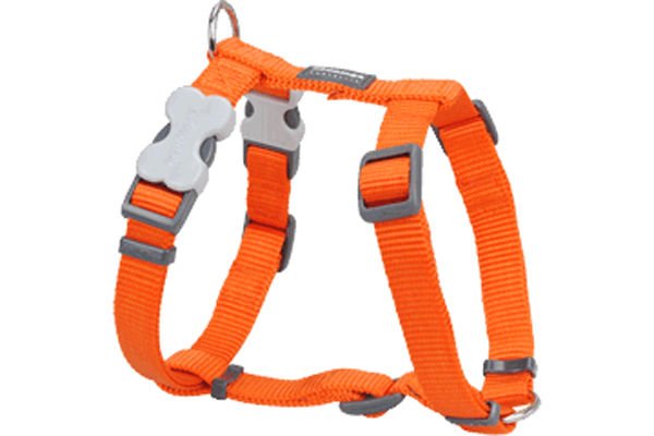 Red Dingo Classic Köpek Göğüs Tasması Turuncu 15 Mm