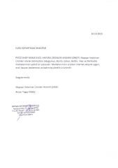 İmac Tüylü Mantar Kedi Oyuncağı