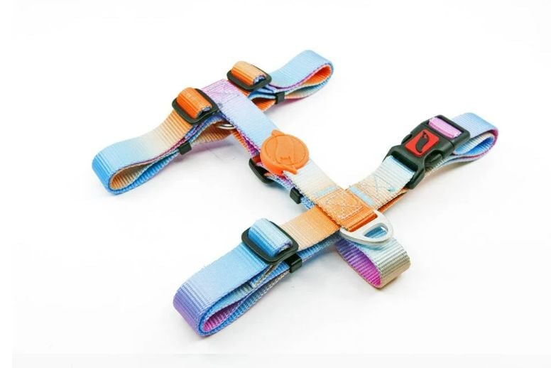 Tailpetz Pass Desenli Köpek Göğüs Tasması Xsmall 19-33x22-37 Cm
