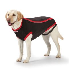 Kong Anksiyete Kaygı Giderici Köpek Elbisesi Medium/Large