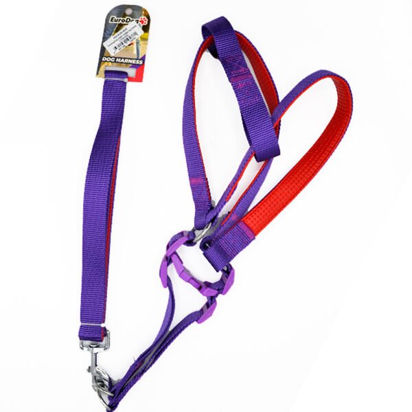 Euro Dog Köpek Uzatma Tasması ve Göğüs Tasması Takımı Mor 25 Mm 120 Cm