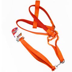 Euro Dog Köpek Uzatma Tasması ve Göğüs Tasması Takımı Turuncu 25 Mm 120 Cm