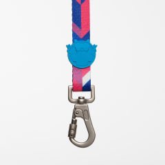 Lindo Dogs Pink Dream Köpek Gezdirme Kayışı Mavi/Pembe Small