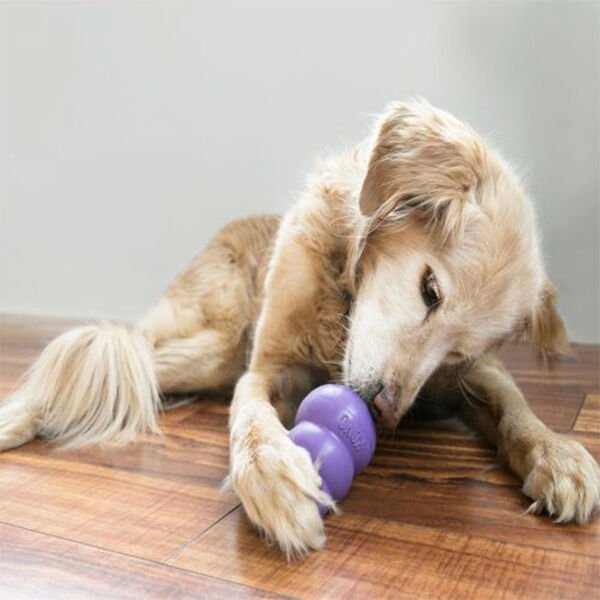 Kong Senior Kauçuk Yaşlı Köpek Oyuncağı Medium