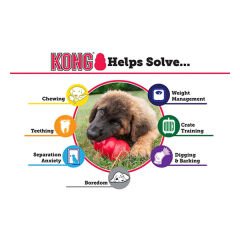 Kong Senior Kauçuk Yaşlı Köpek Oyuncağı Medium