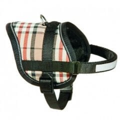 Flamingo Eeny Mini Köpek Göğüs Tasması İngiliz 26-35 Cm