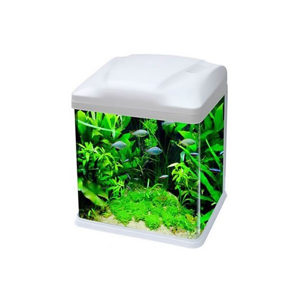Ebo B231 Mini Fanus Balık Akvaryumu 33x21x32 Cm Beyaz