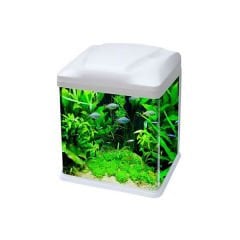 Ebo B231 Mini Fanus Balık Akvaryumu 33x21x32 Cm Beyaz