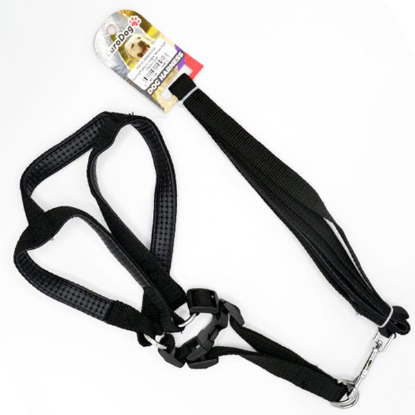 Euro Dog Köpek Uzatma Tasması ve Göğüs Tasması Takımı Siyah 18 Mm 120 Cm