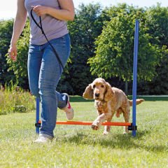 Trixie Köpek Agility Eğitim Manisi 129x115x3 Cm