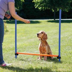 Trixie Köpek Agility Eğitim Manisi 129x115x3 Cm