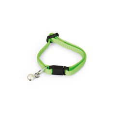 Beeztees Zilli Yavru Kedi Boyun Tasması Yeşil 8x23 Cm
