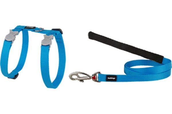 Red Dingo Klasik Kedi Göğüs ve Uzatma Tasması Turkuaz Kombo 12 Mm