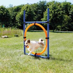 Trixie Köpek Agility Eğitim Çemberi 115x3 Cm