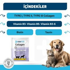 OneVet Eklem ve Kas Destekleyici Kolajen Kedi ve Köpekler için Saşe 3 Gr 1 Adet