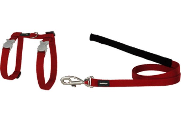 Red Dingo Klasik Kedi Göğüs ve Uzatma Tasması Kırmızı Kombo 12 Mm