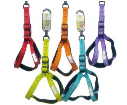 Nunbell Göğüs Tasması 2 mm