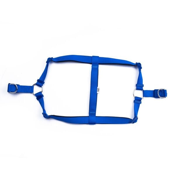 Doggie Comfort Dokuma Ronin Köpek Göğüs Tasması Xlarge Mavi 2.5x65-75 Cm