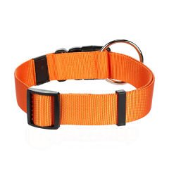 Flamingo Köpek Boyun Tasması Turuncu 55-75 Cm