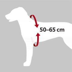 Trixie Köpek Emniyet Kemeri ve Göğüs Tasması Siyah 50-65 Cm