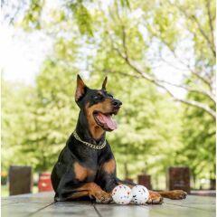 M-Pets Bloom Ball Parçalanmaz Top Köpek Oyuncağı 7 Cm Beyaz