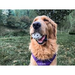 M-Pets Bloom Ball Parçalanmaz Top Köpek Oyuncağı 7 Cm Beyaz