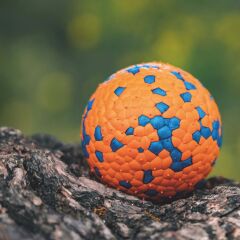 M-Pets Bloom Ball Parçalanmaz Top Köpek Oyuncağı 7 Cm Turuncu