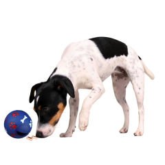 Trixie Köpek Ödül Topu Mavi 14 Cm