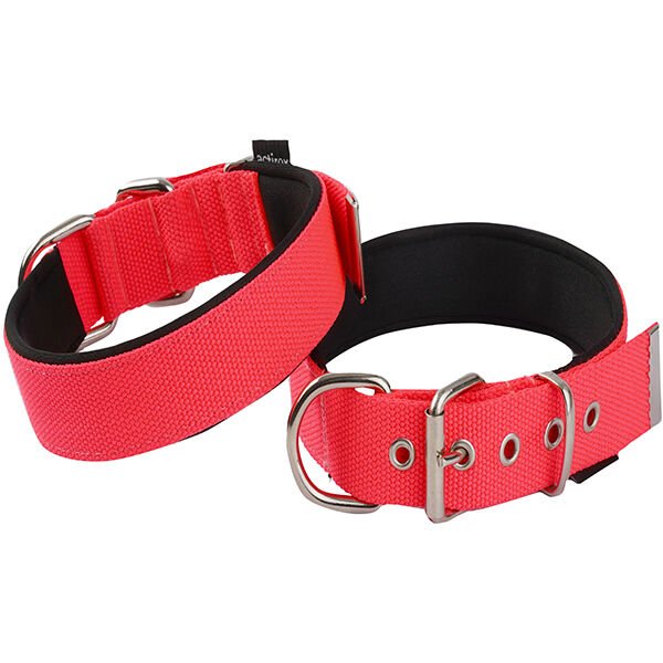 Actirex Neon Köpek Boyun Tasması Kırmızı Small 2x30-35 Cm