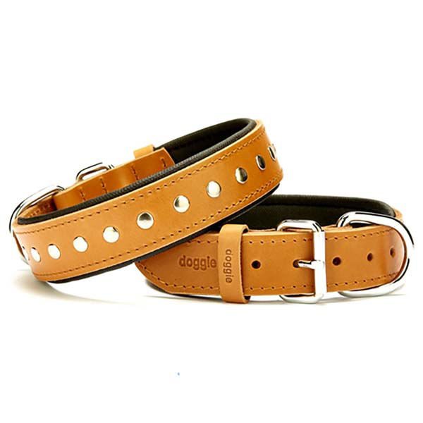 Doggie Comfort Deri Rivetli Köpek Boyun Tasması Medium Camel 3.5x47-55 Cm