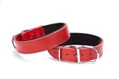Doggie Güçlü Deri Köpek Boyun Tasması Small Kırmızı 4x47-55 Cm