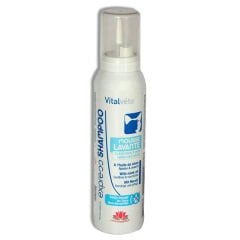 Vitalveto Lavanta Kokulu Kedi Köpük Şampuanı 150 Ml