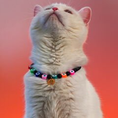 Pnx Pet Onix Doğaltaş Nazar Boncuklu Kedi ve Köpek Künyesi