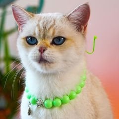 Pnx Pet Akrilik Boncuk Kedi Künyesi Yeşil