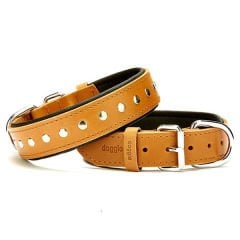 Doggie Comfort Deri Rivetli Köpek Boyun Tasması Large Camel 3.5x52-60 Cm