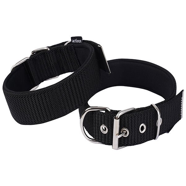 Actirex Desensiz Köpek Boyun Tasması Siyah Small 2.5x37-45 Cm