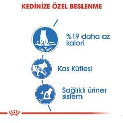 Royal Canin Ultra Light Gravy Pouch Diyet Kedi Maması 85 Gr