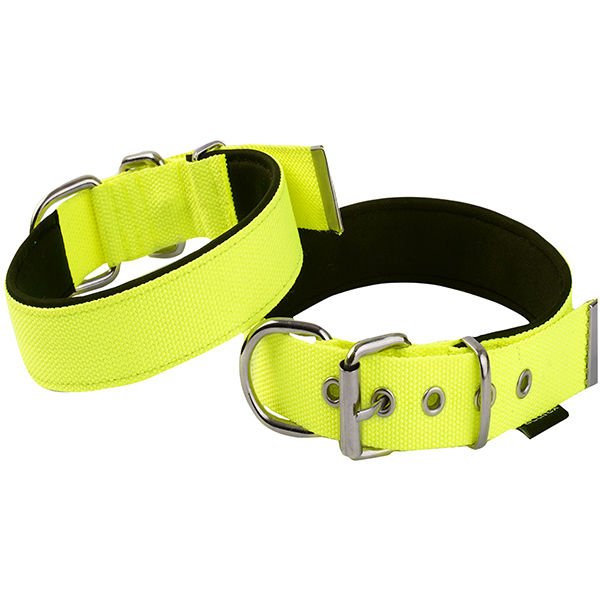 Actirex Neon Köpek Boyun Tasması Sarı Small 2.5x37-45 Cm