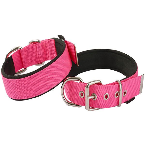 Actirex Neon Köpek Boyun Tasması Pembe Medium 2.5x42-50 Cm