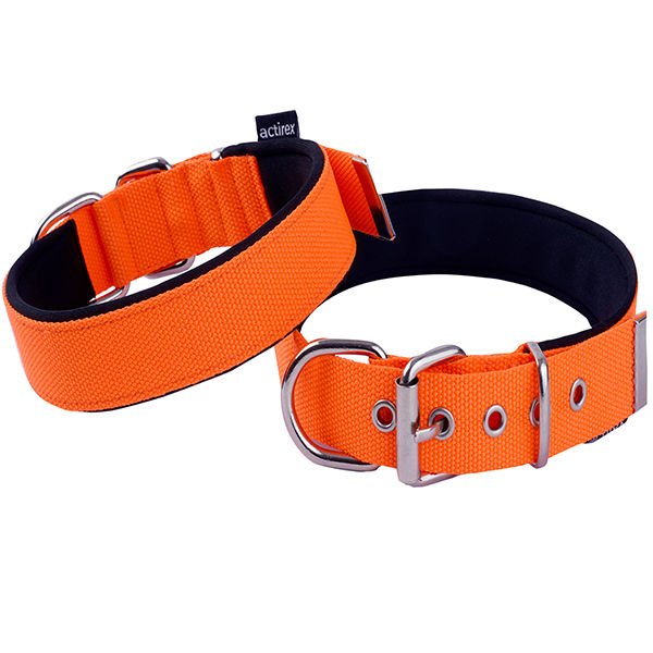 Actirex Neon Köpek Boyun Tasması Turuncu Medium 2.5x42-50 Cm