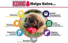 Kong Puppy Yavru Köpek Oyuncağı Small 8 Cm