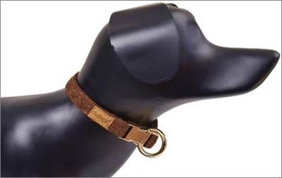 Dubex G-Dog Köpek Boyun Tasması Koyu Kahve Xs-S 19-30 Cm 15 Mm