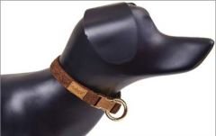 Dubex G-Dog Köpek Boyun Tasması Koyu Kahve Xs-S 19-30 Cm 15 Mm