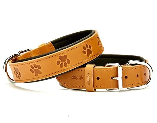 Doggie Comfort Deri Pati Desenli Köpek Boyun Tasması Medium Camel 3.5x47-55 Cm