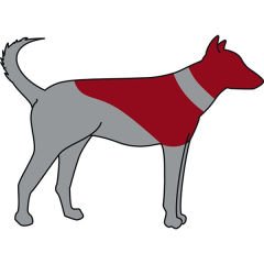 Trixie Köpek Koruyucu Şişme Yakalık Mavi Xlarge