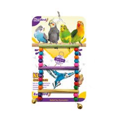 Euro Bird Boncuklu Merdiven Kuş Oyuncağı Renkli